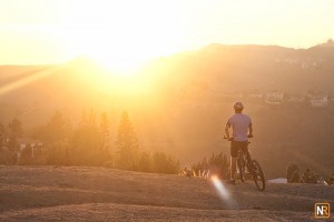 Hollywood Biker